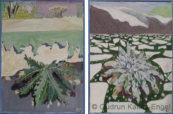 Diestel + Königskerze Diestel + Königskerze