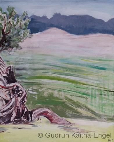 Olive im Nebel Olive im Nebel